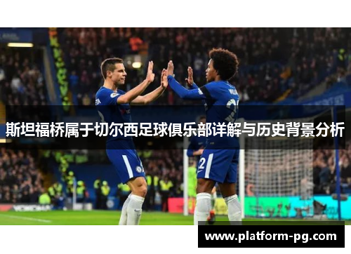 斯坦福桥属于切尔西足球俱乐部详解与历史背景分析